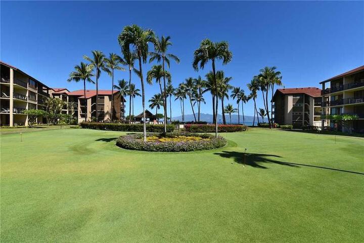 Papakea #F105 - 1 Br Condo in Lahaina, HI