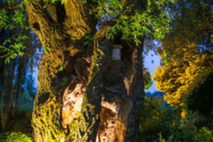 Spa and Wellness Pictures