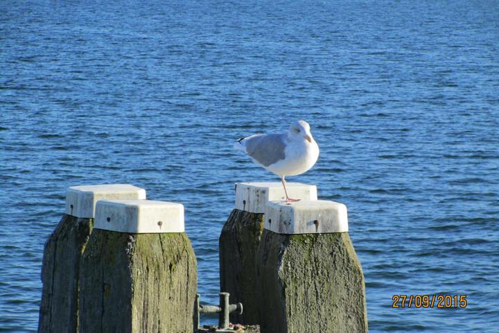 General 21 of 21
