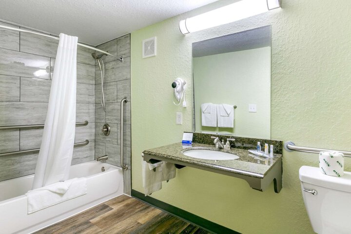 1 King Bed Accessible (6 of 17)