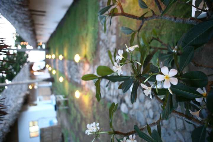 Hotel Interior 40 of 47