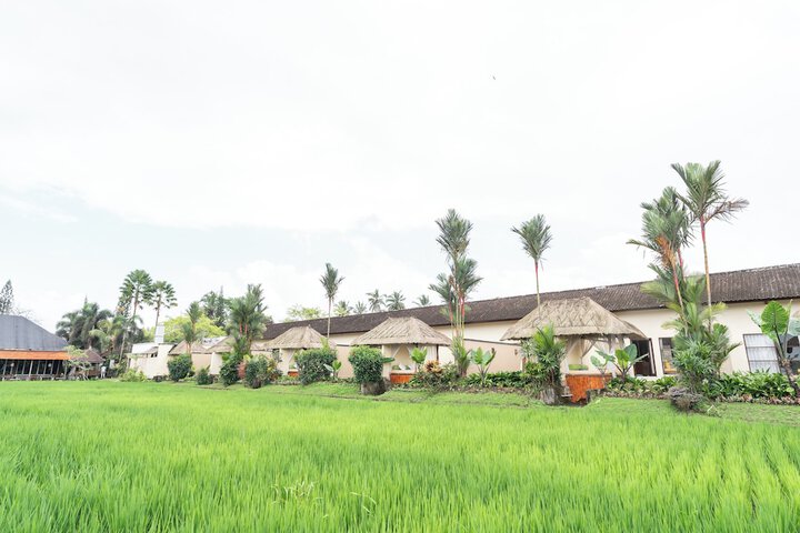 Outdoor banquet area