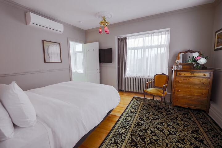 Classic Room 1 Queen Bed (4 of 4)