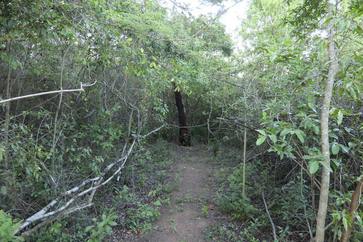 Water Sports 20 of 21