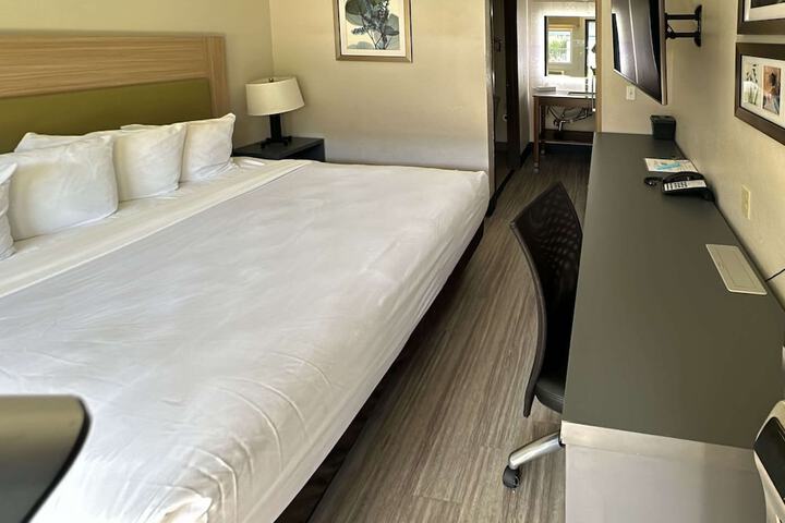 1 King Bed (7 of 11)