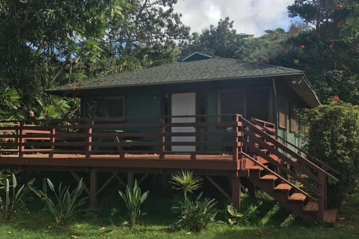 Backpackers Vacation Inn & Plantation Village