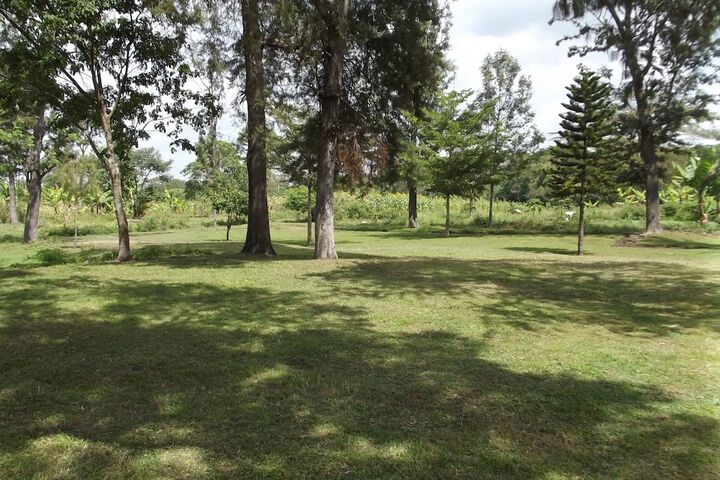 Property Grounds 13 of 18