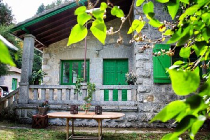 Casa Verde