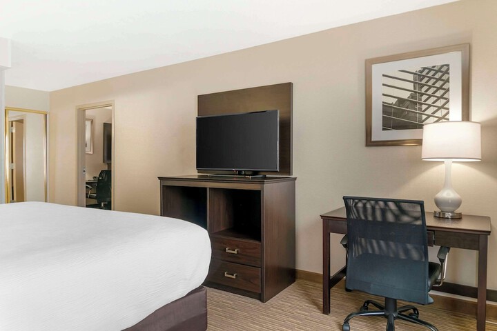 1 King Bed Suite (6 of 16)