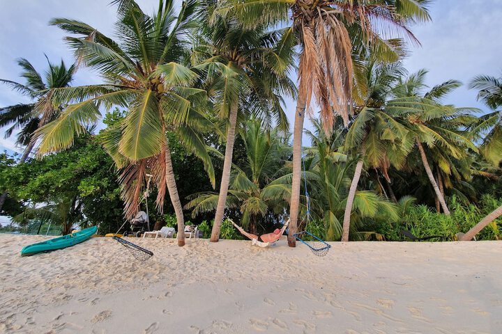 Beach 110 of 211