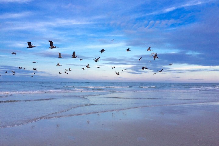 Beach 20 of 26