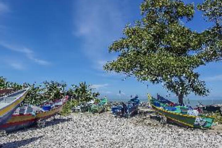 VI Homestay Homelite Eco Park