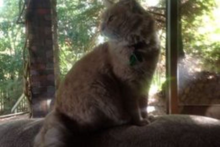 Hotel Interior 67 of 111