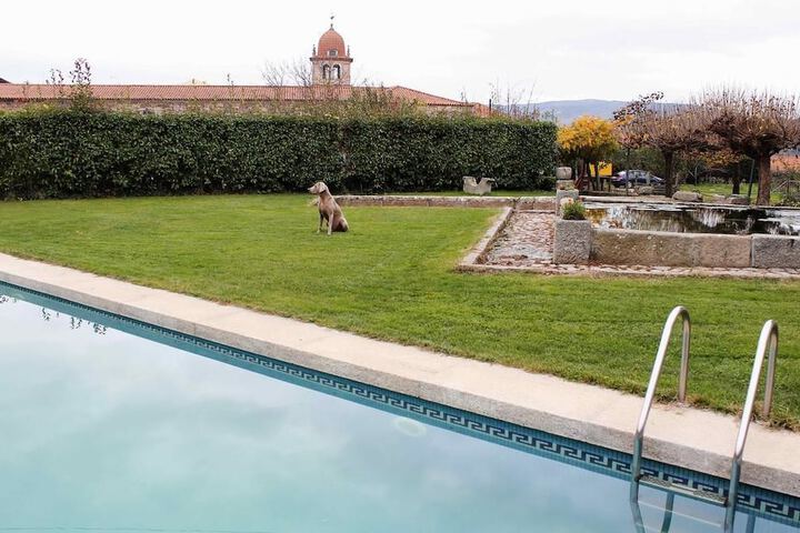 Pool 19 of 53