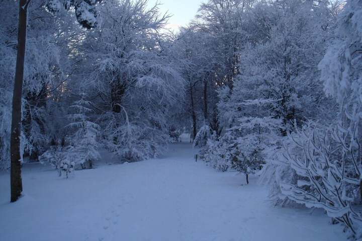 Property Grounds 17 of 18