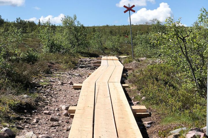 Hiking