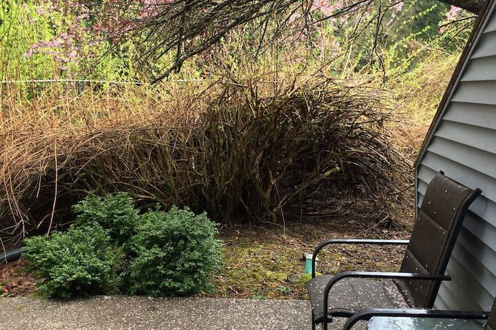 Terrace/Patio 160 of 311