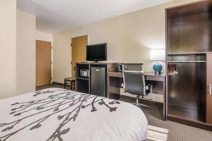 Standard Queen Bed Accessible (3 of 5)