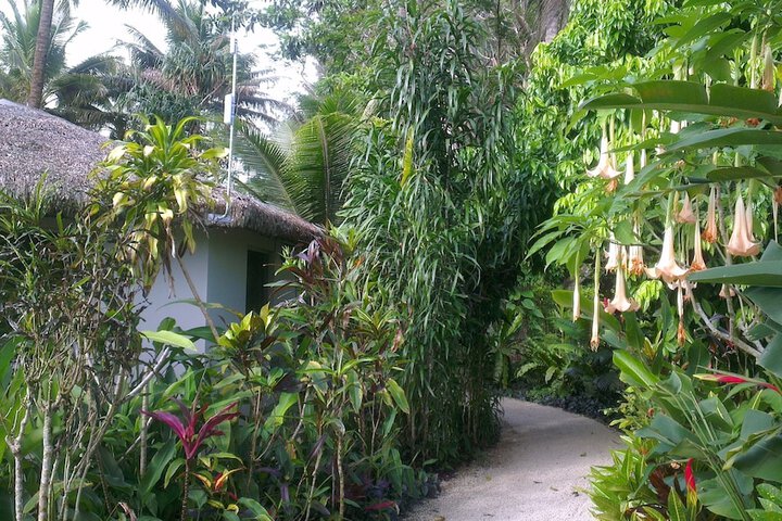 Room 15 of 34