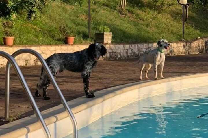 Pool 43 of 206