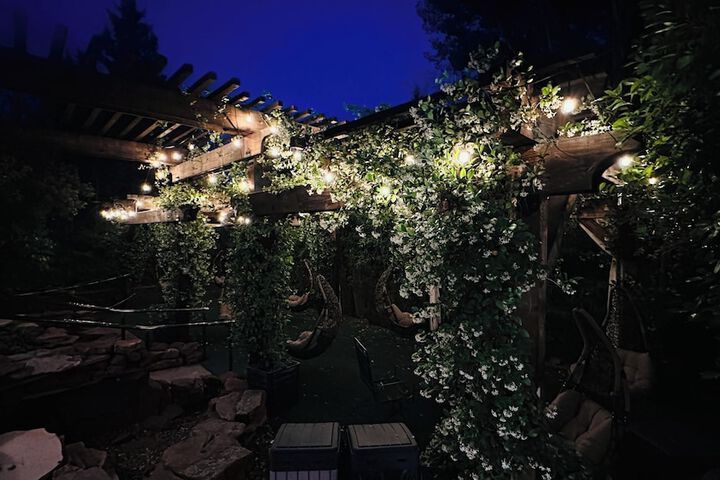 Garden view