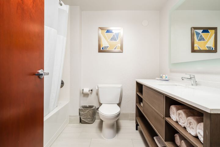 1 King Bed Suite (14 of 22)
