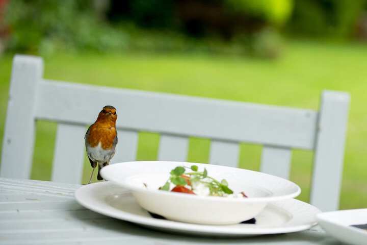 Food and drink