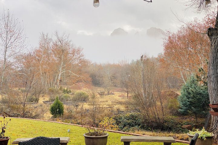 Garden view