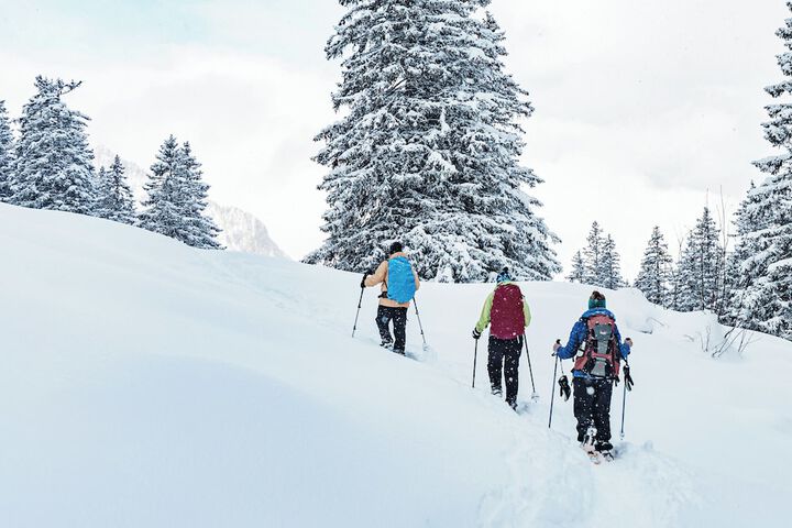 Snowshoeing
