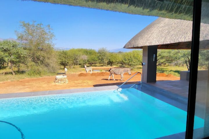 Photo of Thandolwami Bush Lodge & Spa