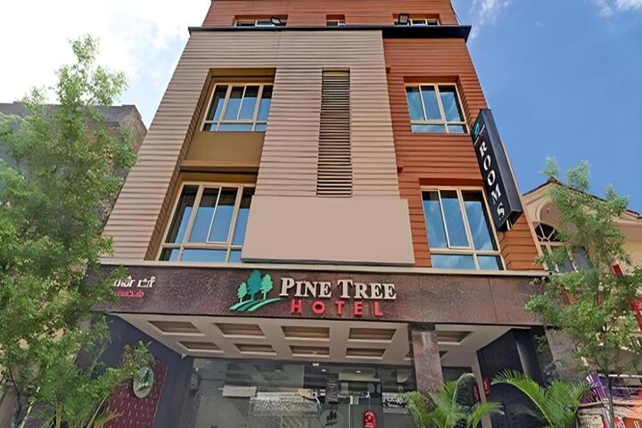 FabHotel Pine Tree