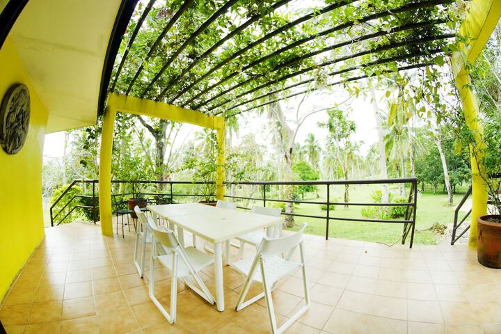 Terrace/Patio 31 of 48
