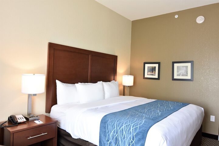 Standard | King Bed (27 of 28)