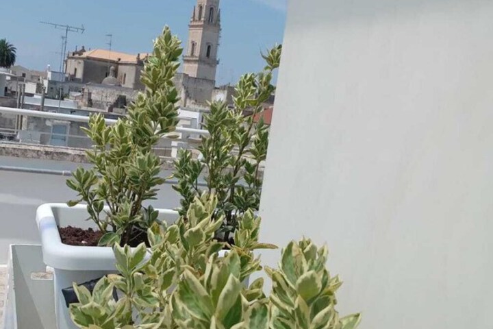 De Guidani Experience in Lecce