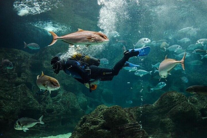 Children's activities