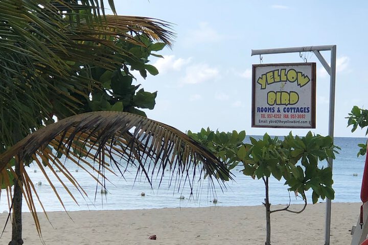 Beach 53 of 75