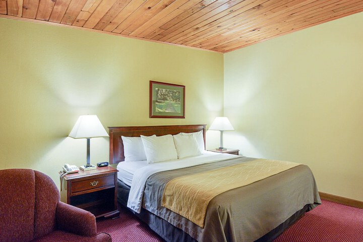 1 King Bed (5 of 9)