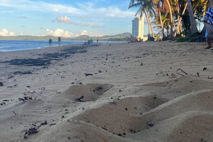 Beach 90 of 109