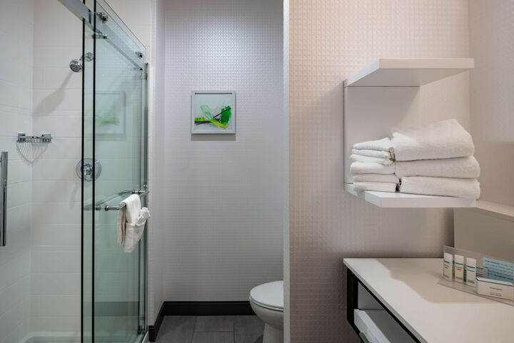 Bathroom shower