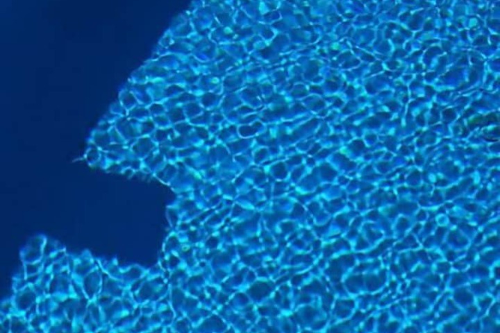 Pool 38 of 52