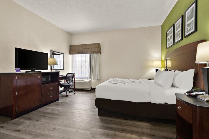 1 King Bed (16 of 19)