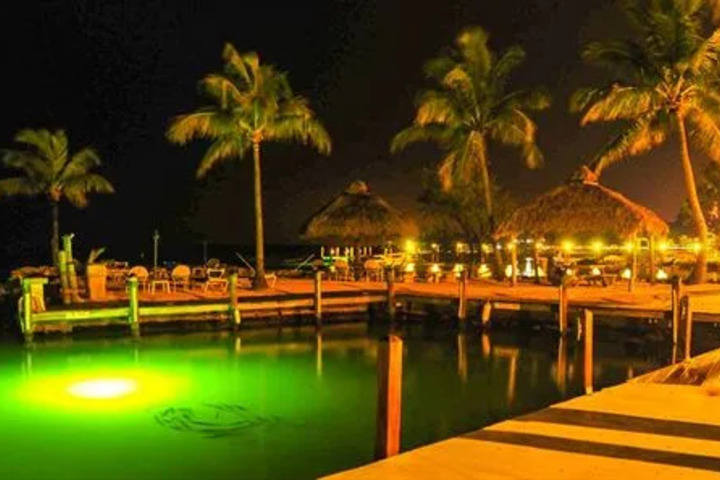 General 7 of 18