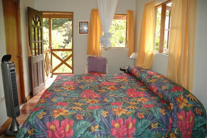 Room 15 of 31
