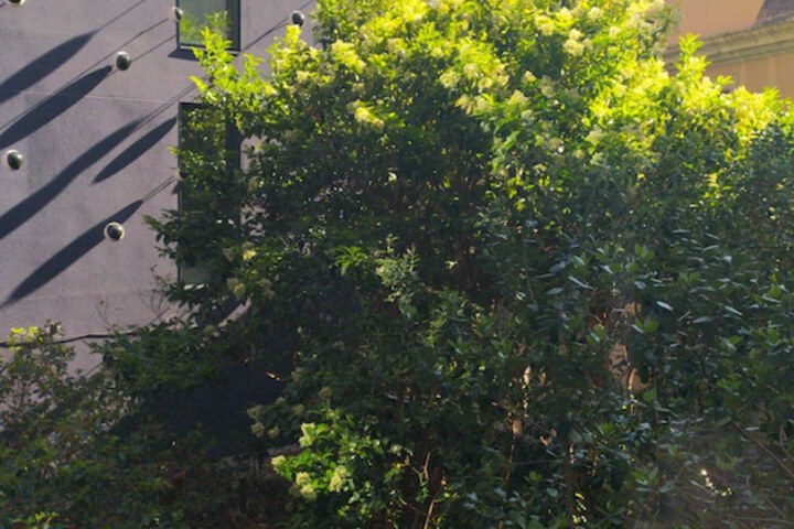 View from room