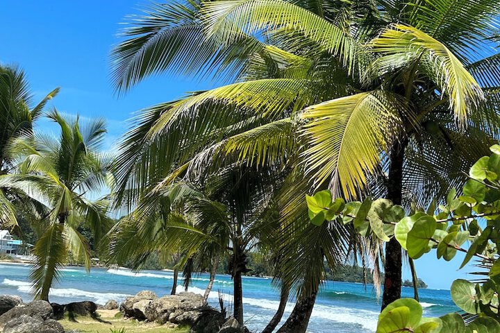 Beach 36 of 36