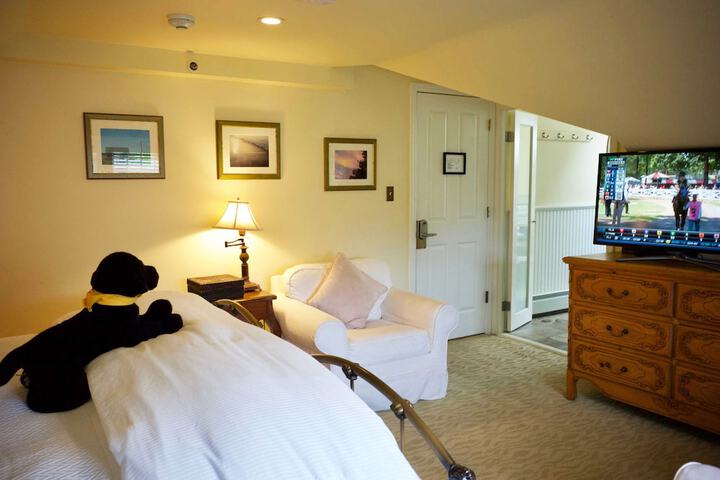 Room 15 of 137