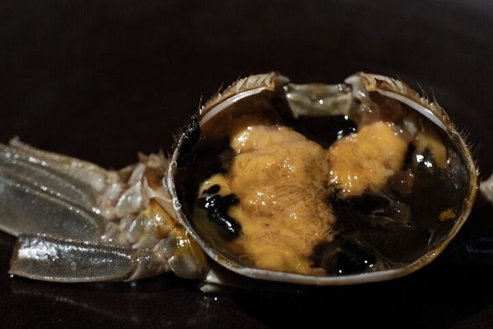 Dining 80 of 99