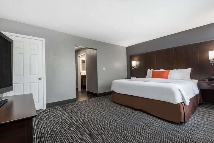 1 King Bed 1 Bedroom Accessible Studio Suite with Roll in Shower (3 of 8)