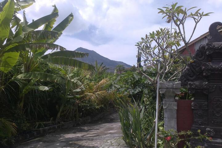 Image of Volcano 2 guesthouse