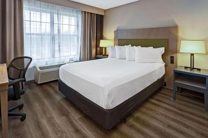 1 King Bed (8 of 19)